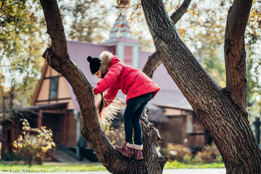 tree remove