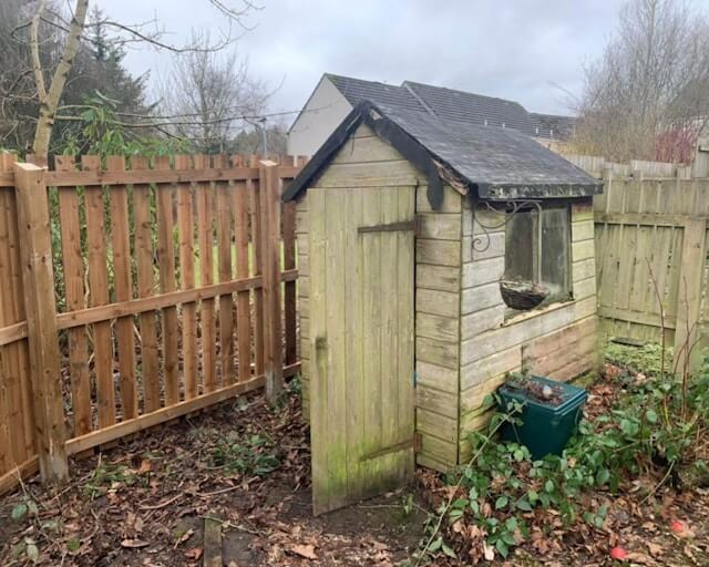 shed removal for Detroit