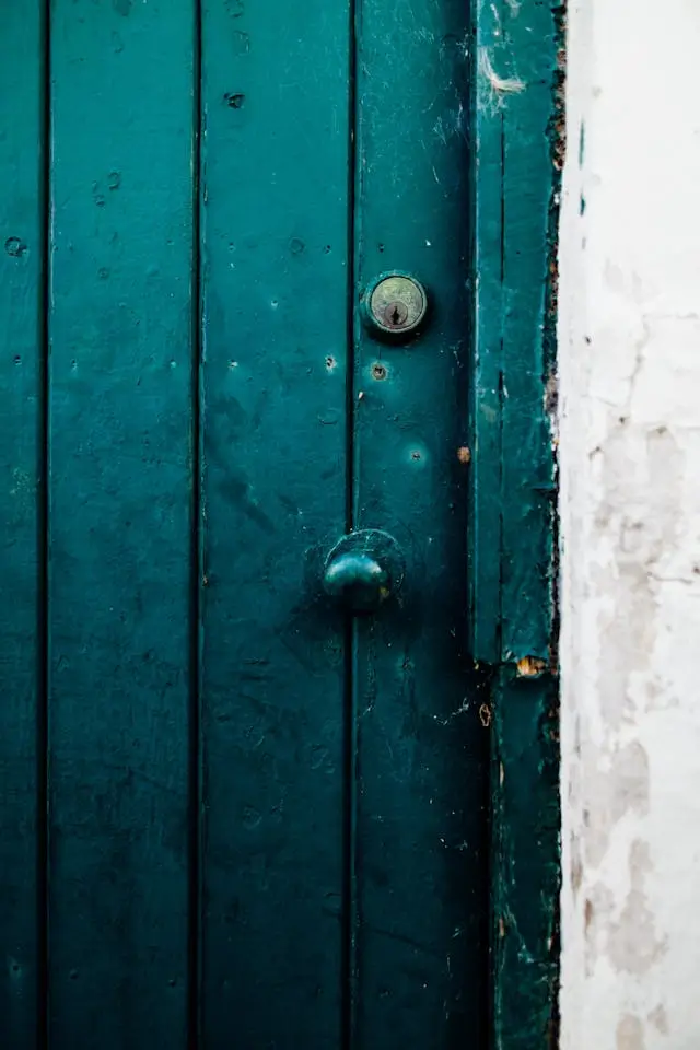 Replace door Royal Oak