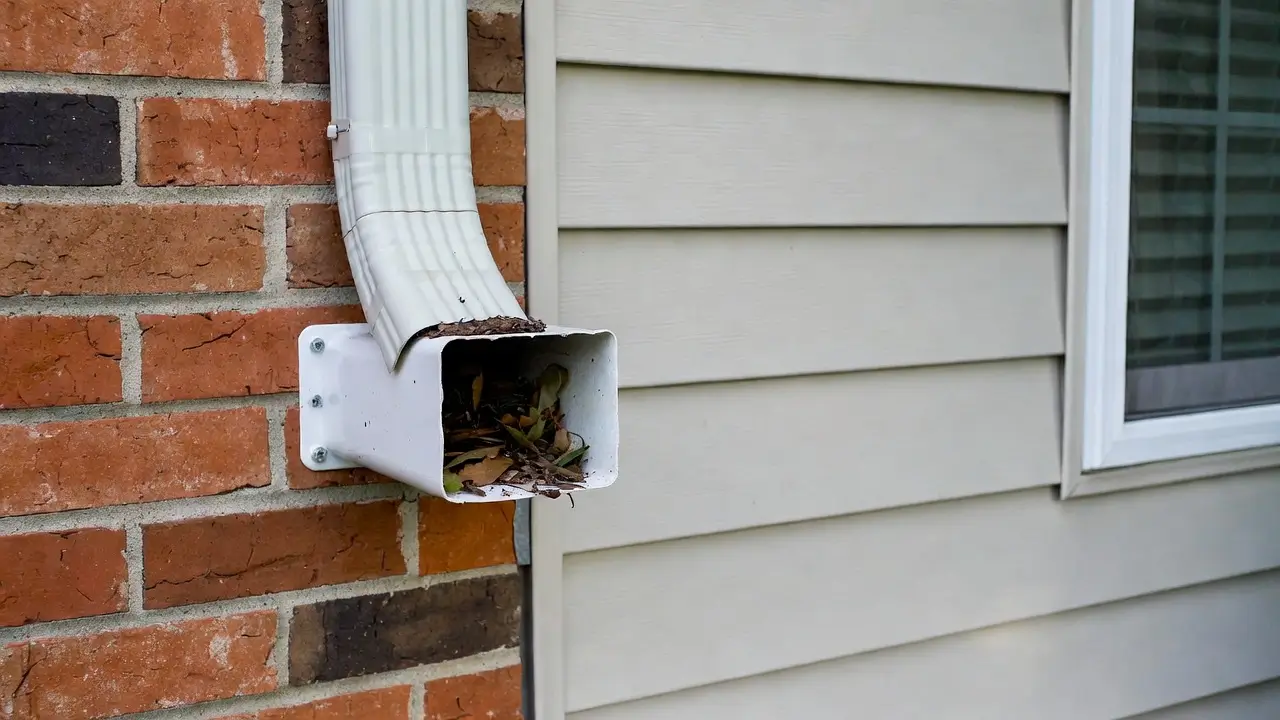 downspout drain clog