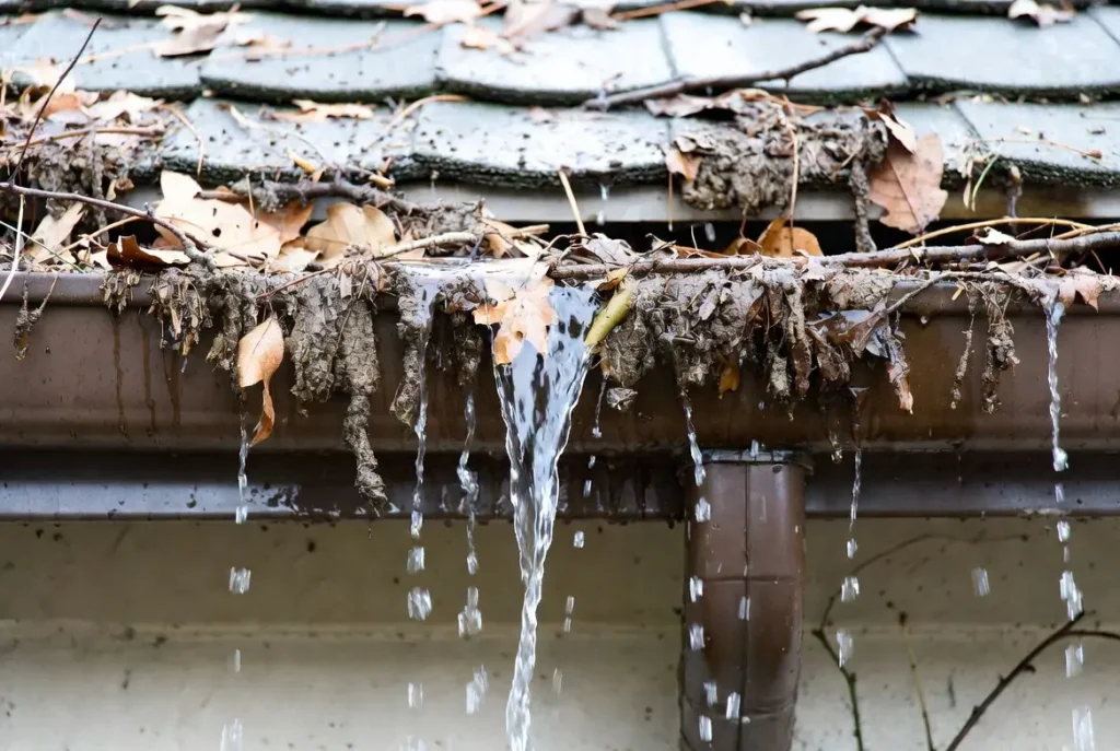 Clogged Gutters Can Damage Your Foundation
