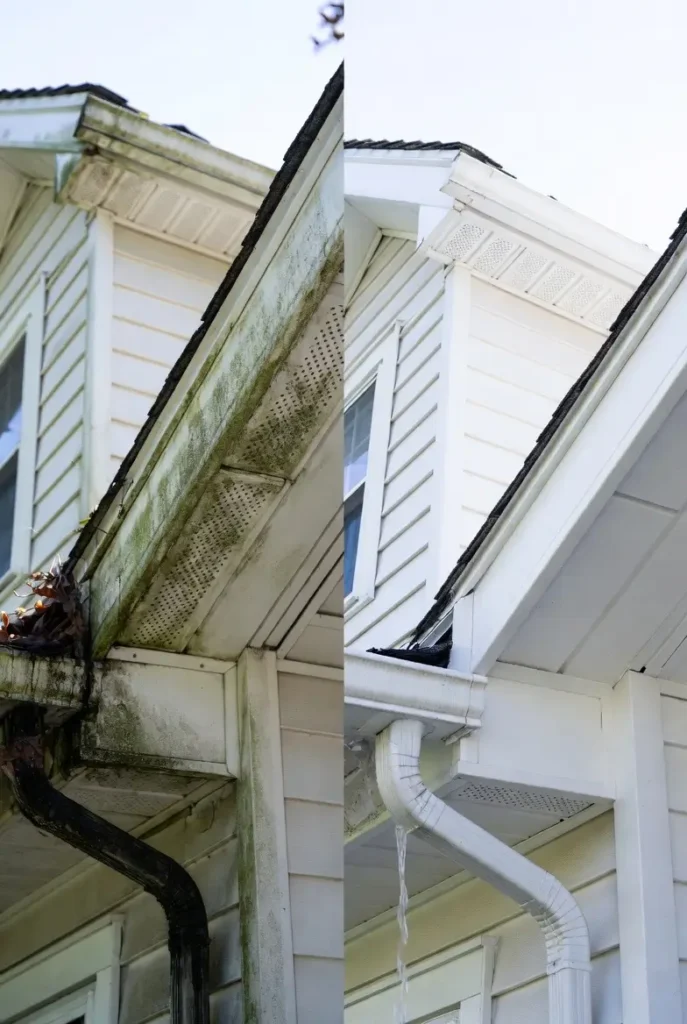 Fascia Cleaning